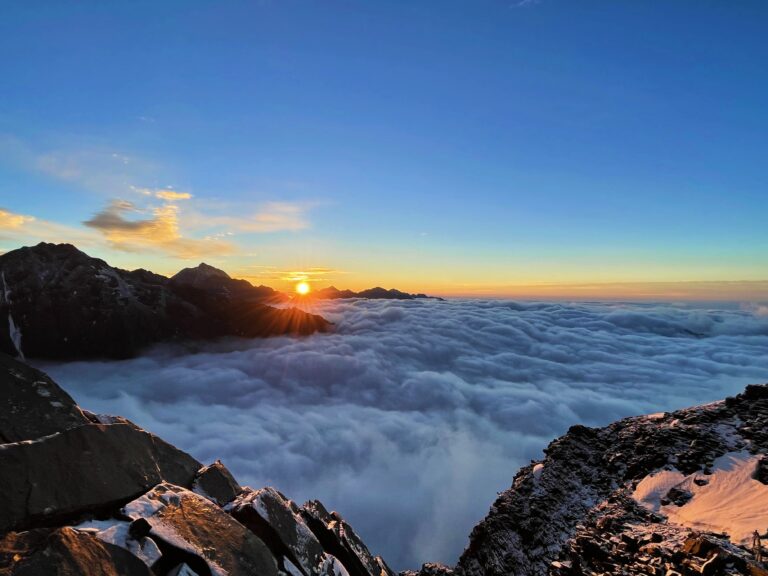 gallery sg 3